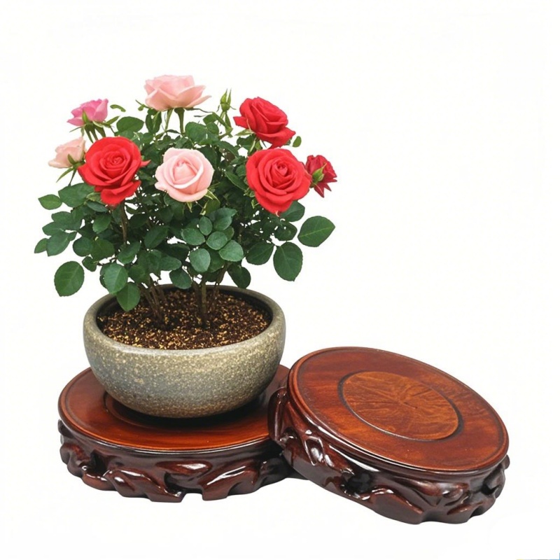 Houten plantenonderzetter & bl - Coffee Tea Gardens recensie en prijs